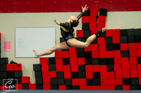 2019-1-24 Shelbyville Waldron Southwestern Gymnastics Meet