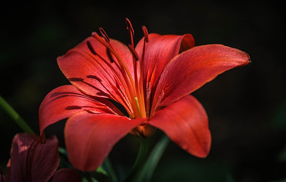 DSCF6364