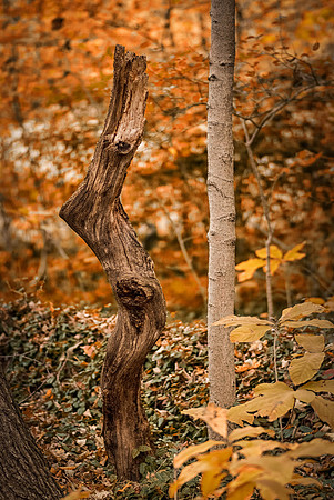 DSCF0648-Edit