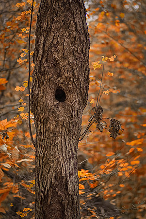 DSCF0646-Edit