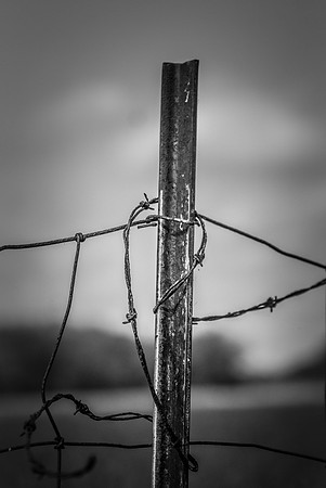 DSCF9529