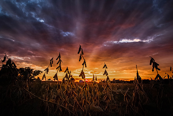 DSCF5764-Edit